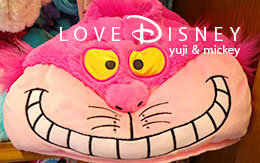 「ファンキャップ」19個紹介！ in TDR