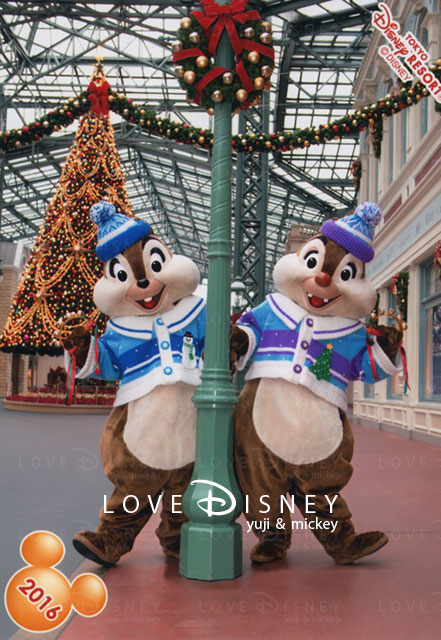 TDL12月のスペシャルフォト （チップ＆デール）