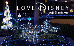 「ディズニーアンバサダーホテルのクリスマス飾付＆夜景画像」8枚紹介！