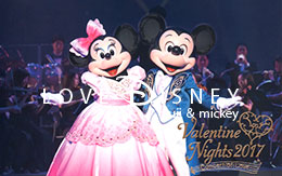 「バレンタイン・ナイト2017グッズ」6個紹介！ in TDS