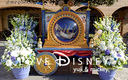 「ザ・イヤー・オブ・ウィッシュ」～グランドフィナーレ～飾付画像を16枚紹介！ in TDS