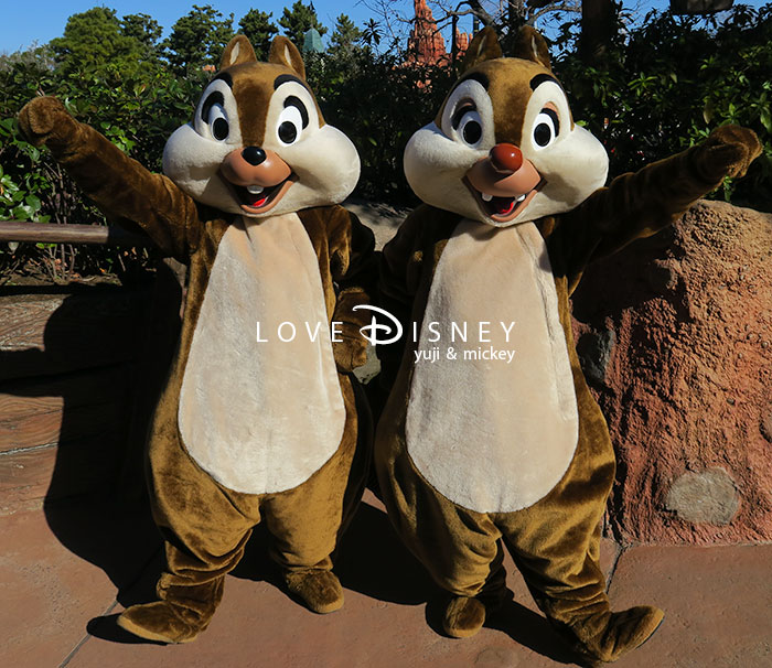 チップ＆デールのペアグリーティング画像紹介！ in TDL