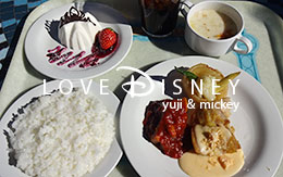 アナとエルサのフローズンファンタジー2017のグルメ紹介！ in プラザパビリオン・レストラン