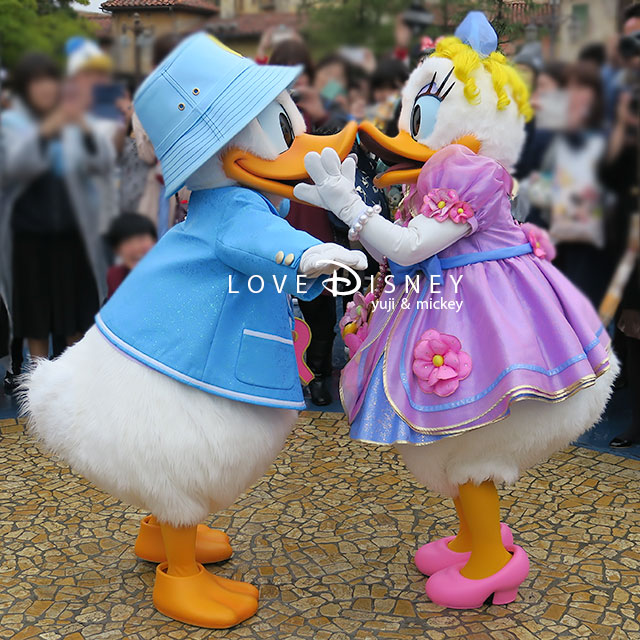 ディズニーシー プラザで会える ドナルドとデイジーのぬいぐるみ など3点紹介 Love Disney