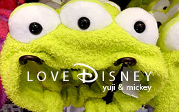 「キャラクターデザインのヘアバンド」10個紹介！ in TDR