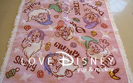 2017年夏「キャラクターデザインのミニタオル＆ウォッシュタオル」22品紹介！ in TDR