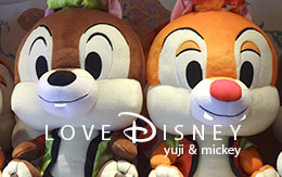 「ジャングルカーニバル全景品」紹介！ディズニー・夏祭り2017