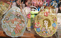 TDR「ディズニーキャラクターのパスケース」16種類紹介！