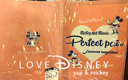 TDRグッズ「B5マンスリー手帳、三つ折りカバー付き（2018年版）」5種類紹介！