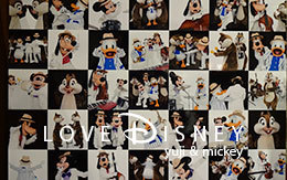 2017年9月15日発売「イマジニング・ザ・マジック」グッズ全種類紹介！ in TDL