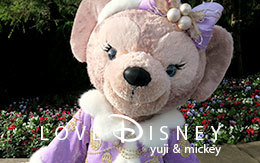 ダッフィー＆シェリーメイのグリーティング！ダッフィーのクリスマス2017