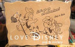TDL「ディズニーキャラクターのウエスタングッズ」９品紹介！