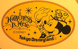 「TDLスーベニアメダル全種類」紹介！2018年2月1日現在