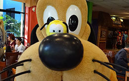 プルート画像4枚紹介！キャラクター・ダイニング「ディズニーPCHグリル」