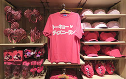 TDRおしゃれアイテム「PNKグッズ」11品紹介！