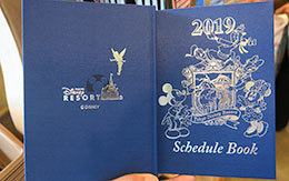 TDRグッズ「2019年のスケジュール帳」紹介！