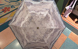 2018年夏のTDRグッズ「晴雨兼用傘」7品紹介！