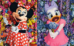 Imagining the Magic「Photographer Mika Ninagawa」グッズ紹介！