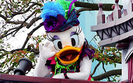 デイジー画像7枚紹介！スプーキーBoo!パレード