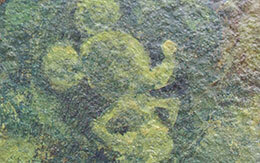 「ソアリン：ファンタスティック・フライト」で隠れミッキーを12個発見