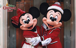 TDL「ディズニー・クリスマス2019」前期のディズニースナップフォト