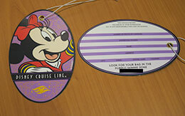 「ディズニークルーズ地中海+ローマ」旅行記（下船前日にすること＆部屋にある便利な物）