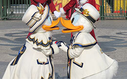 ドナルドとデイジーのペアショット大特集「イッツ・クリスマスタイム！」