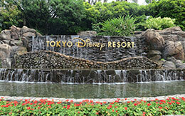 移動自粛の全面解除後の東京ディズニーリゾート潜入レポ