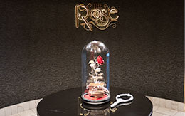 予約困難な有料レストラン「アンシャンテ」食レポを大公開！ディズニークルーズ・ウィッシュ