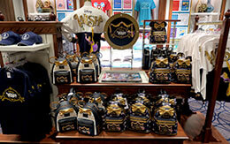 乗船者だけの特権？ウィッシュ号で見つけたディズニークルーズ限定グッズ紹介