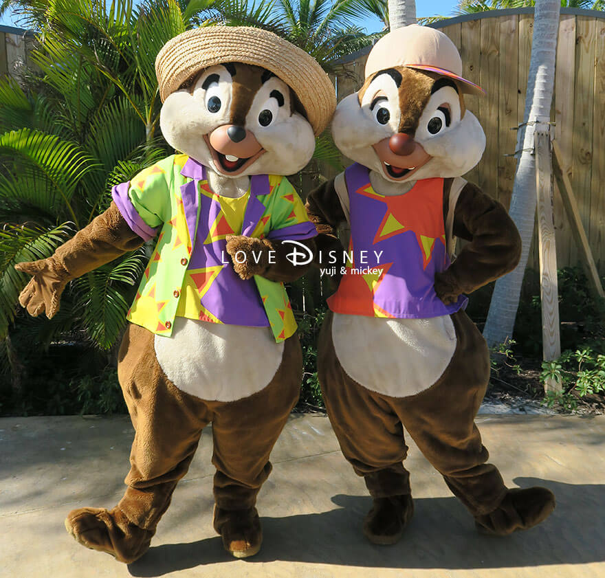 ディズニークルーズ・ウィッシュ号、ライトハウス・ポイントのディズニー・ルックアウト・ケイ、キャラクターグリーティング（チップ＆デール）ペアショット