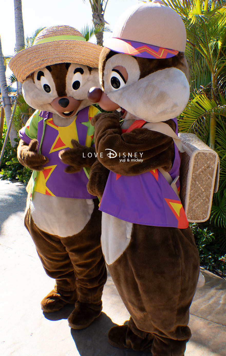 ディズニークルーズ・ウィッシュ号、ライトハウス・ポイントのディズニー・ルックアウト・ケイ、キャラクターグリーティング（チップ＆デール）後ろ姿