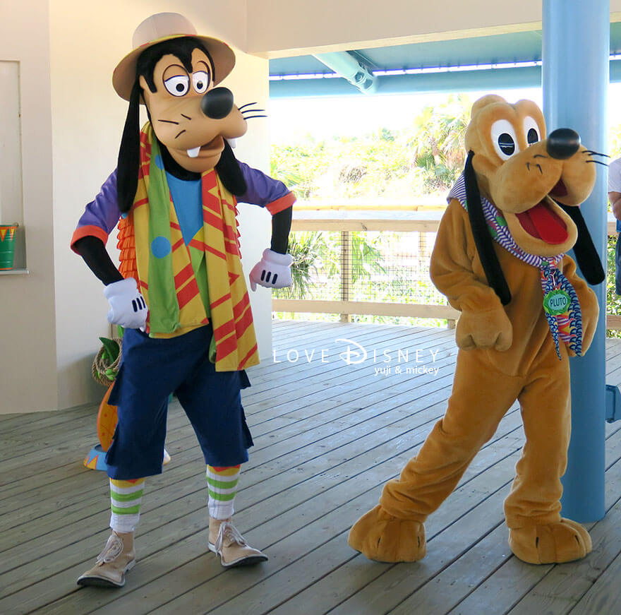 ディズニー・ルックアウト・ケイのエンターテイメント「ディズニー・ファン・イン・ザ・サン・ビーチバッシュ」グーフィー、プルート、チップ&デール(その10)グーフィー、プルート