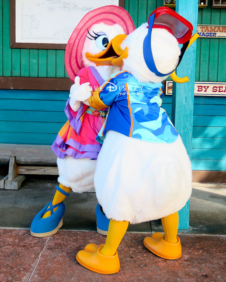 ディズニークルーズ、ウィッシュ号、キャスタウェイ・ケイ、キャラクターグリーティング、ドナルドとデイジーのキス画像