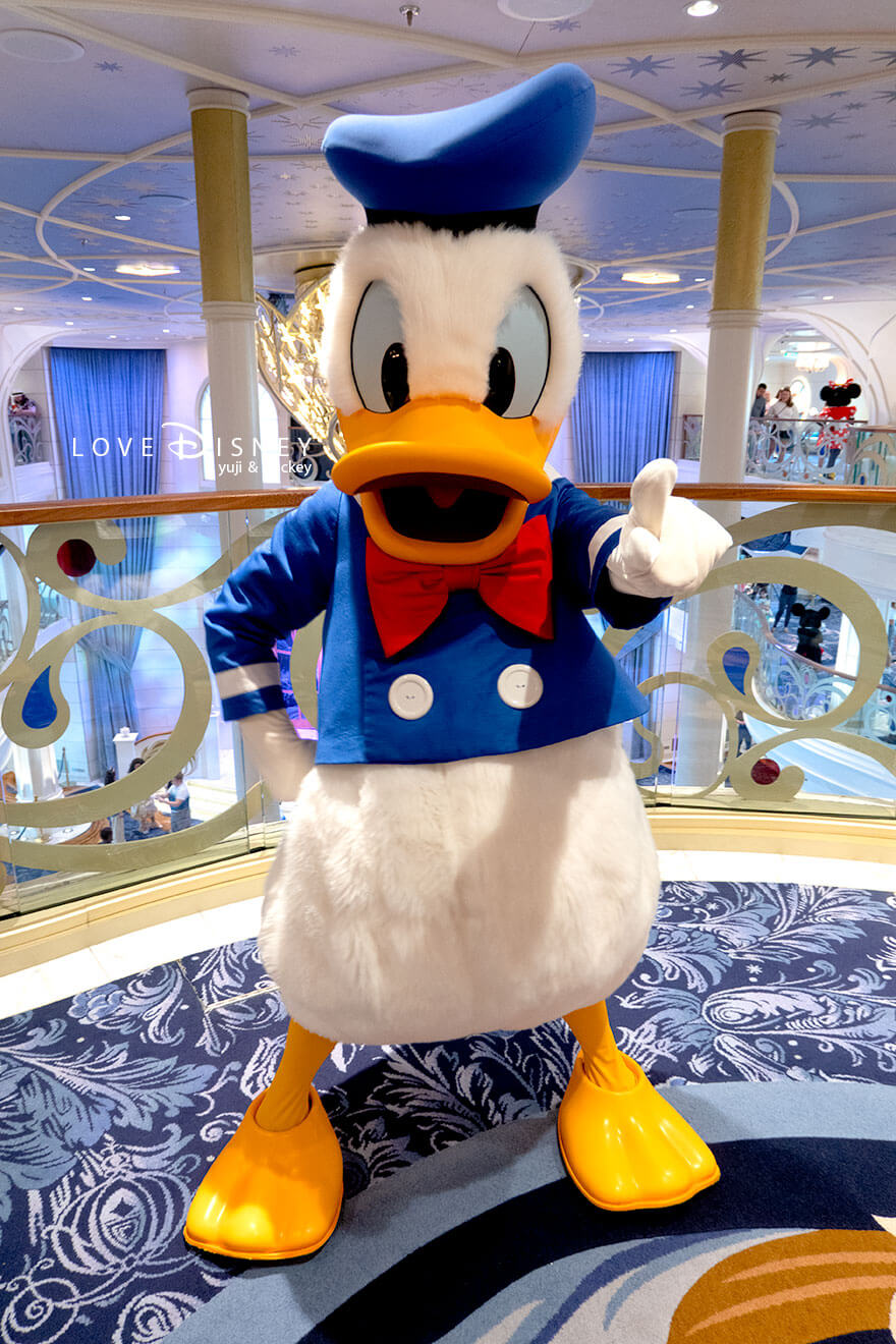 ディズニークルーズ・ウィッシュ号、キャラクターグリーティング、ノーマル衣装ドナルド