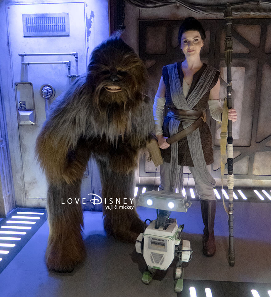 ディズニークルーズ・ウィッシュ号、キャラクターグリーティング、スター・ウォーズ、チューバッカ＆レイ＆BDXドロイド