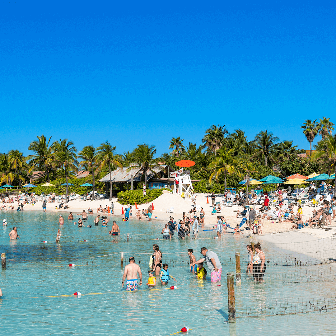 キャスタウェイ・ケイ