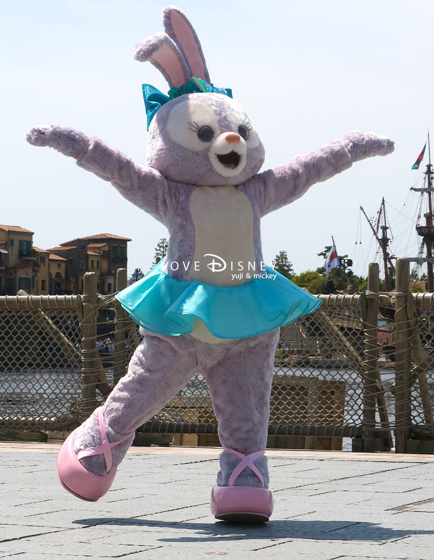 ミッキー広場 TDS25周年 スパークリング・ジュビリー・セレブレーション 鑑賞エリア ステラ・ルー