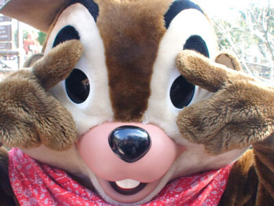 世界のチーデー画像！