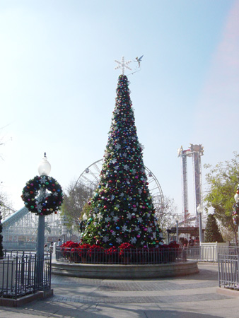 世界のパークのツリー画像！