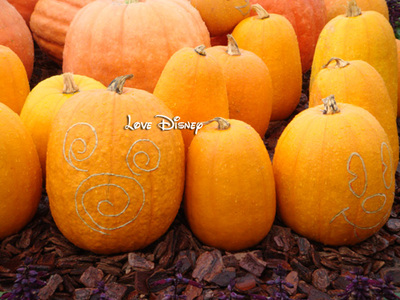 リゾートの2つ限定グッズ！