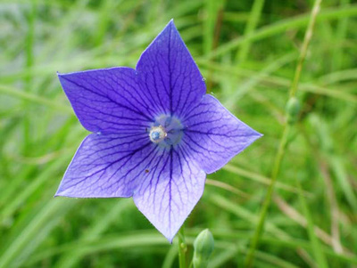 キス画像！ミッキー＆ミニー！クラブ・モンスターズ・インク "笑いってクール！"