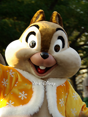 芸能界の仕事のオファー！チップ画像！ジョリーホリデードライブ