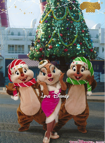 XmasチーデーSPフォト！ハーバーサイド・クリスマス