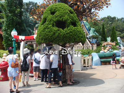 ミッサマを抽選なしで見る方法！ガイドツアー