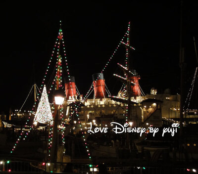 シー・Xmas限定ワイン！レストラン櫻