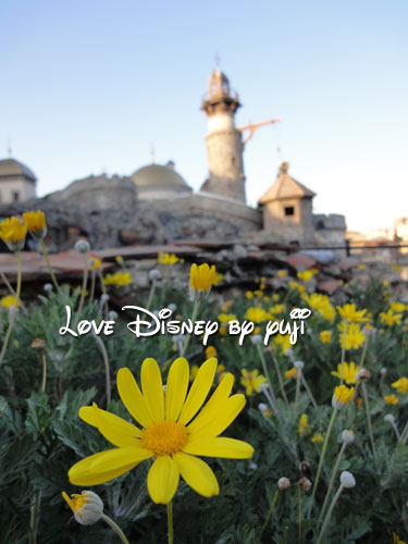 暖かい春の幸せをプレゼント☆