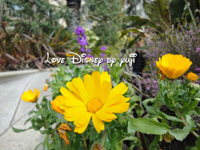 タレットルーム宿泊日記5！東京ディズニーランドホテル、コンシェルジュ、タレットルーム