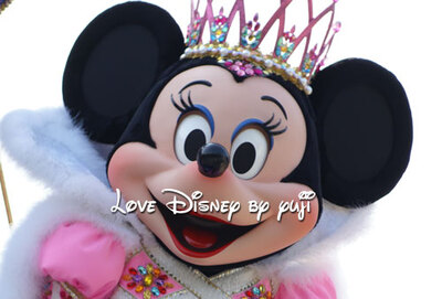 カメラ目線のミニー画像！ジュビレーション