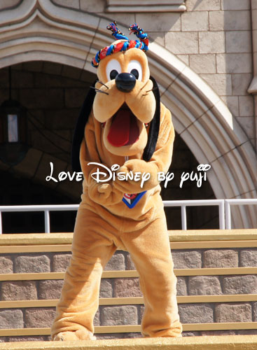 元気いっぱいプルート画像！爽涼鼓舞"ザ・ホットチャレンジ"・ディズニー夏祭り